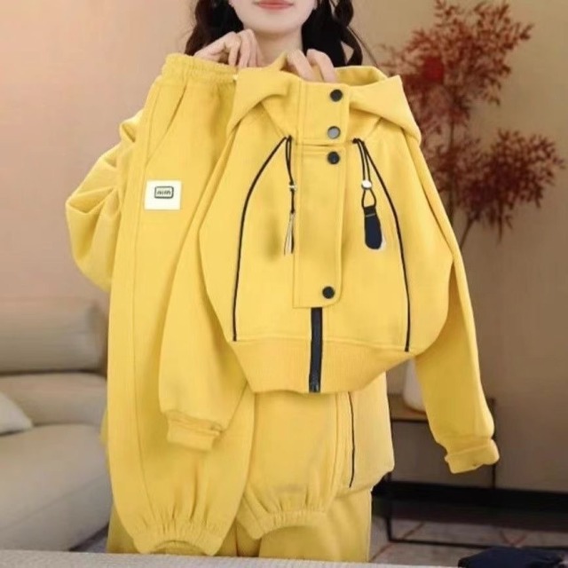 13188826.儿童套装春秋季2026男童新款洋气运动休闲时髦炸街连帽女童两件套
