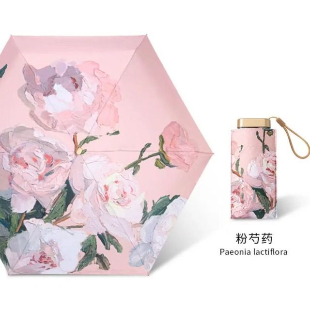 12309562.29.9秒杀~晴雨两用太阳伞  认准实拍 !把美术馆揣进口袋雨天也是浪漫收藏家