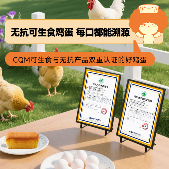 12700536.【有限期至9月29】面包新语学生早餐蒸蛋糕短保健康蛋糕2袋/10包