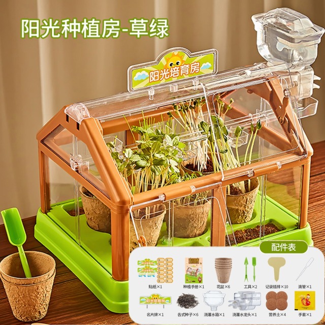 11993443.【儿童节礼物】阳光房种植小盆栽玩具材料包科学实验套装植物种菜花房观察科学小实验套装