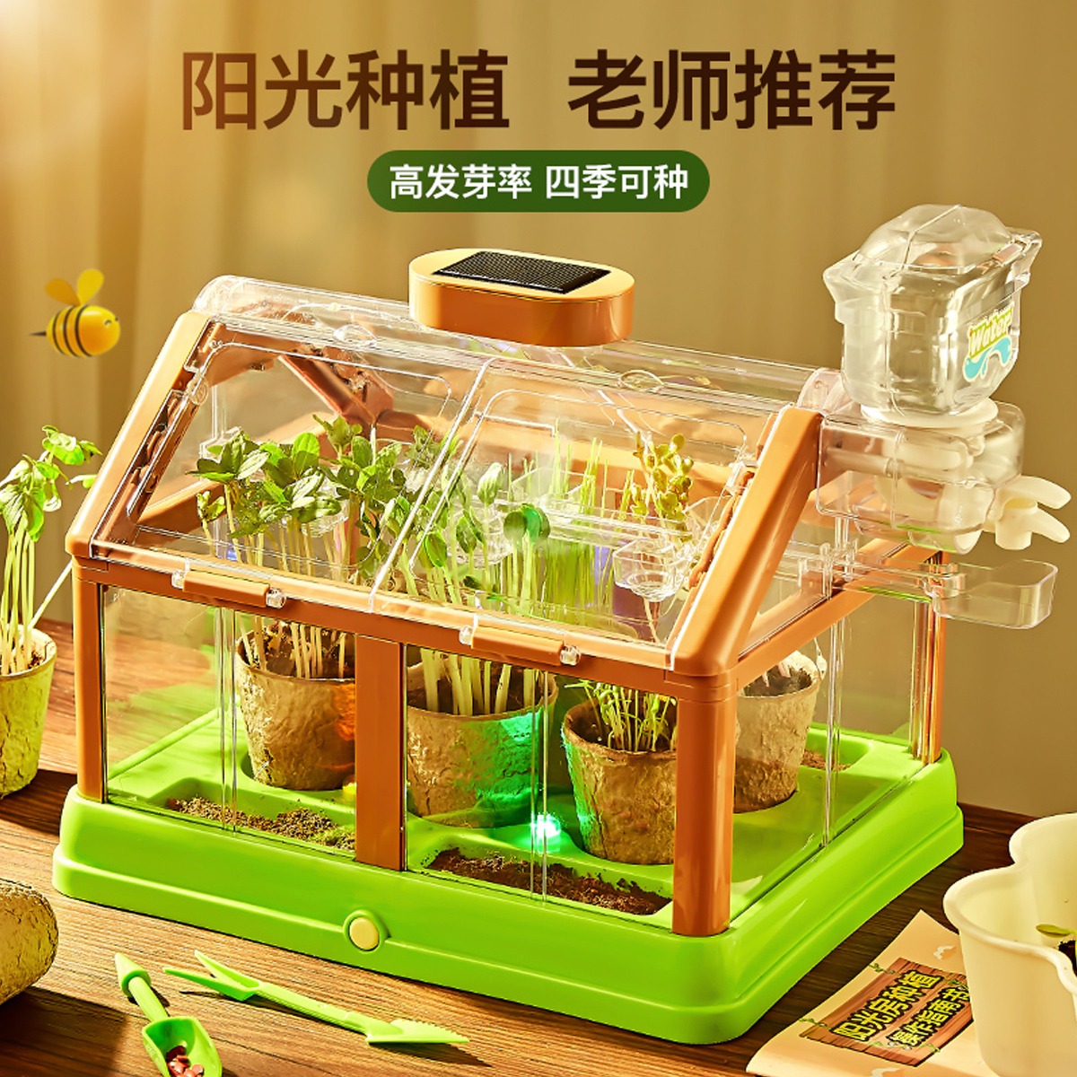11993443.【儿童节礼物】阳光房种植小盆栽玩具材料包科学实验套装植物种菜花房观察科学小实验套装