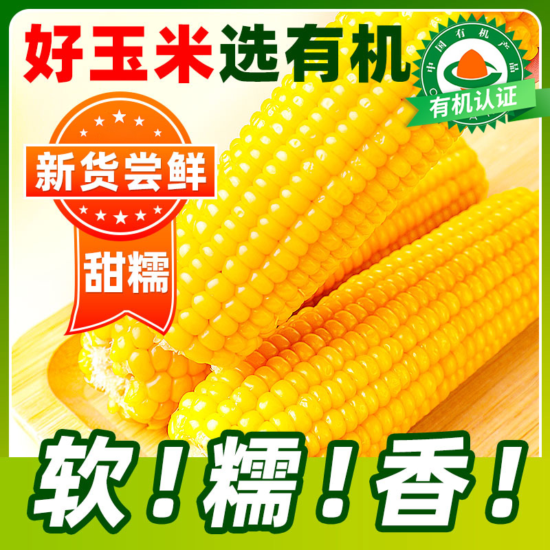 12693606.有机黄糯玉米10棒