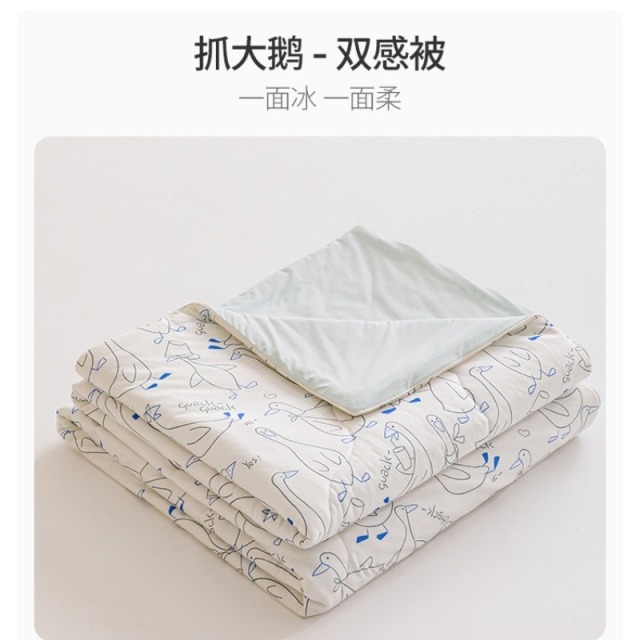 12231950.艾美家春夏新品冰柔双感被夏被空调被薄被子被芯凉感透气冰丝盖毯被夏季