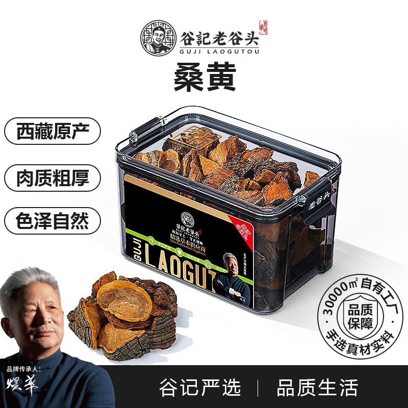 10998900.老谷头桑黄西藏正品自治区林芝非灵芝桑黄菌整朵桑黄切块原产桑树
