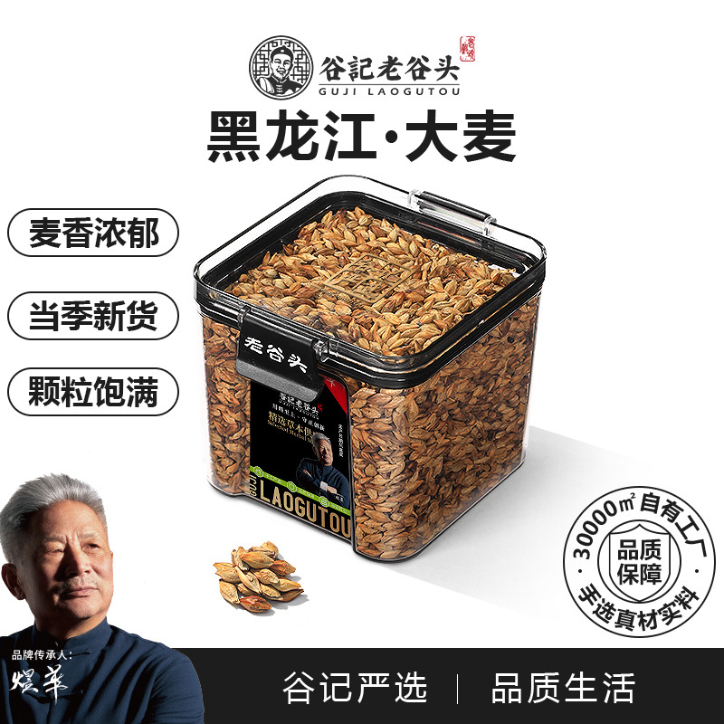 10779022.老谷头净口密封罐大麦茶苦荞茶荞麦茶养原味产品浓香型非特级生苦荞麦茶 400g/盒
