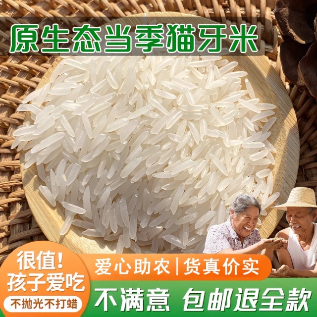 12667305.原生态猫牙香米长粒香米正宗广西丝苗大米一级现磨10斤装油粘米超长细米煮粥煲饭专用米当季新米