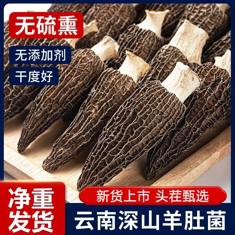 12871307.高品质头茬羊肚菌足干50克/袋菌菇干货特级羊肚菌干货