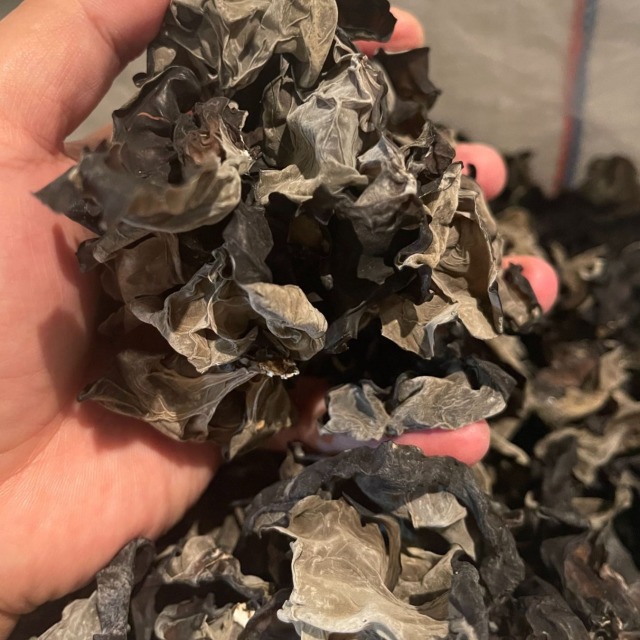 13144480.秦岭木耳黑厚秋耳小婉耳肉厚无根新货南北干货农产品手工挑选云耳500克