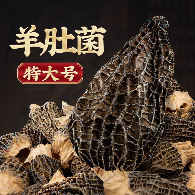 13151062.特大个羊肚菌干货9cm以上山珍菌菇煲汤滋补食材云南特产50g当季新货