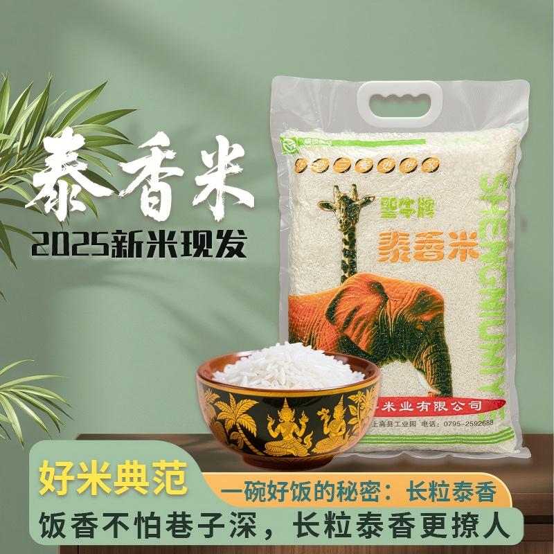 13654225.当季新米品质大米长粒香5kg泰香米丝苗米煲仔饭专用猫牙米农家籼米10斤真空包装