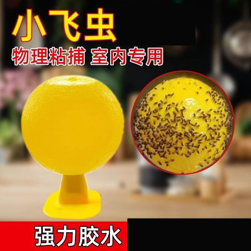 12335563.【5件装】果蝇诱捕器小飞虫灭杀室内去除蚊虫厨房蠓虫粘虫球诱苍蝇