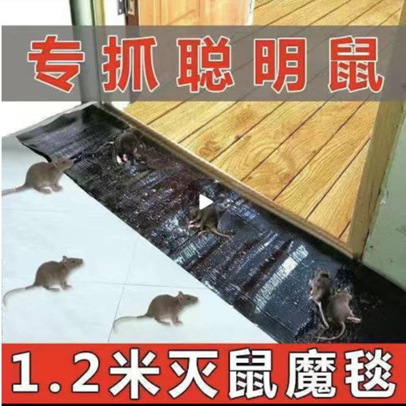 13421645.粘鼠毯老鼠贴灭鼠魔毯1.2米粘鼠板大支持