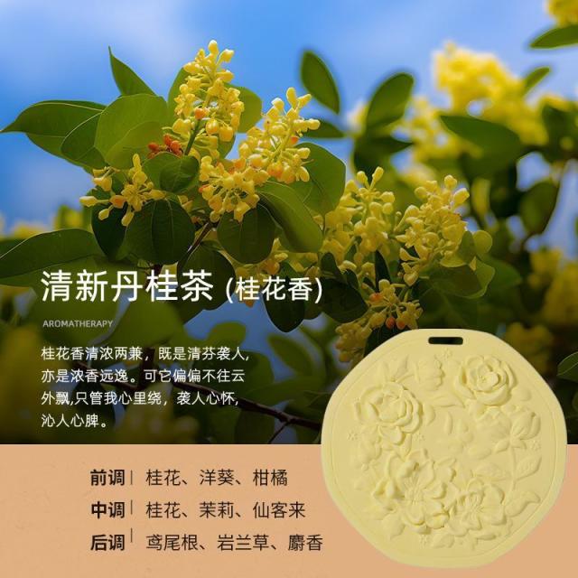 13419345.【5件装】汽车衣柜香薰衣橱石膏香片家用卧室内留香氛房间熏香女生车载香挂
