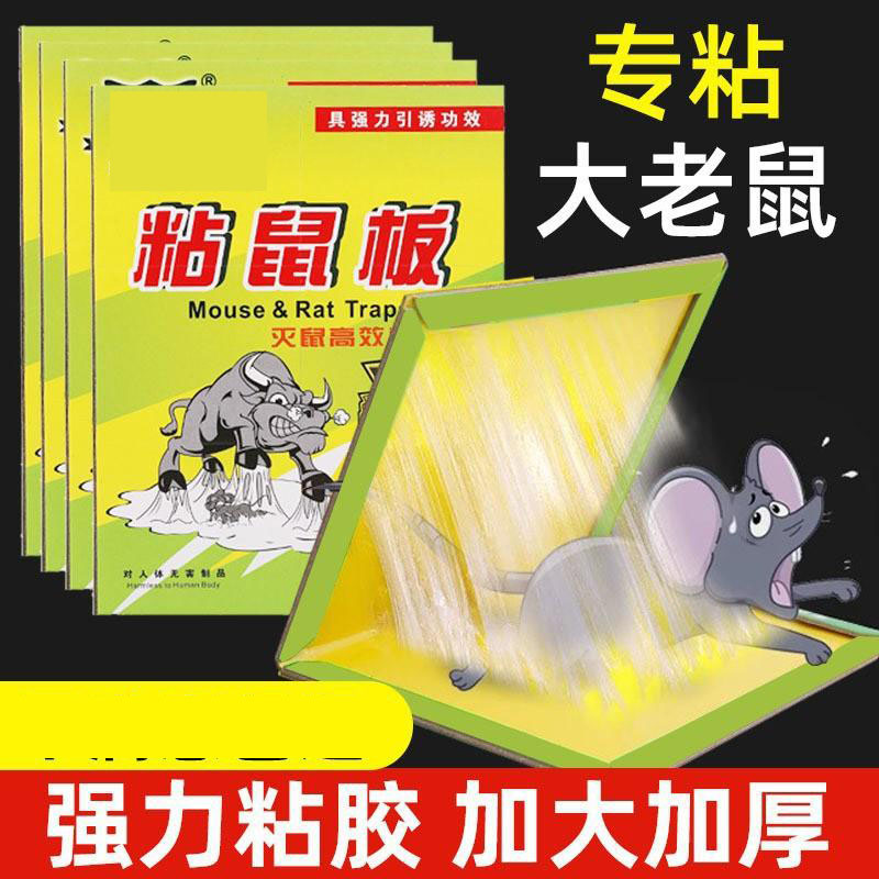 13424959.老鼠粘粘家用免诱饵捕鼠贴仓库厨房室内灭鼠