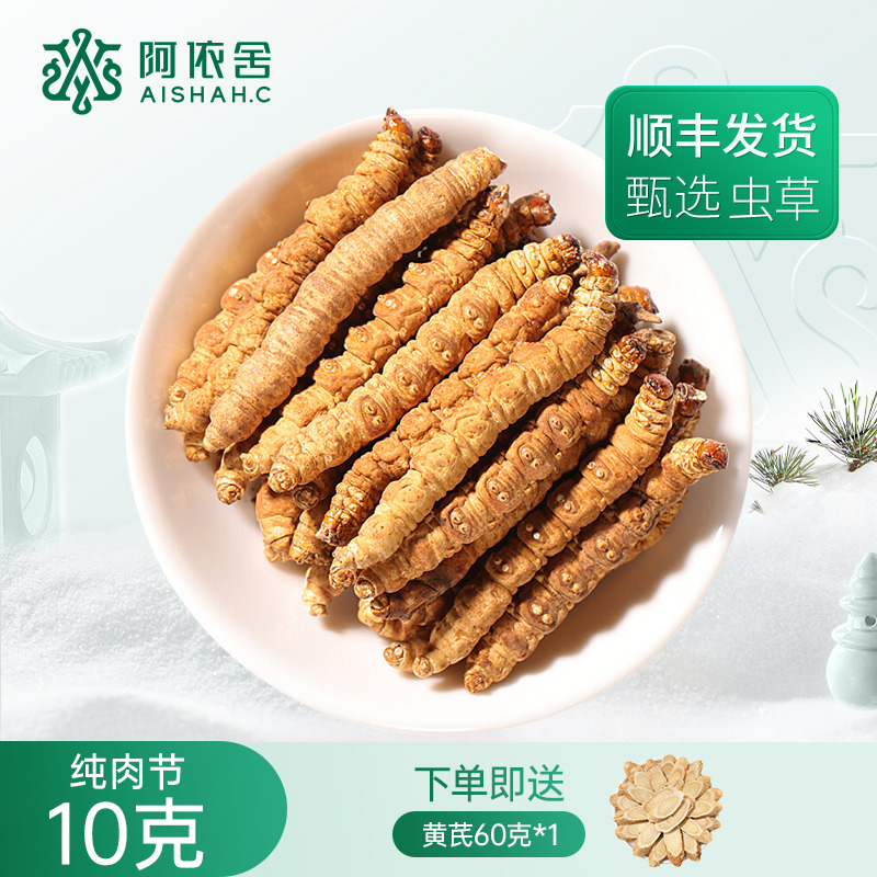 12375540.阿依舍头茬生态冬虫夏草纯肉节10克非整草自用高性价比下单送黄芪60克送父母罐装断虫草无草头