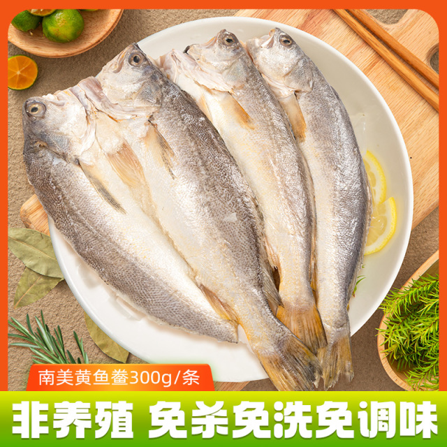 13514598.三都港南美黄鱼鲞300g/条 非养殖免杀免调味黄花鱼冷冻海鲜