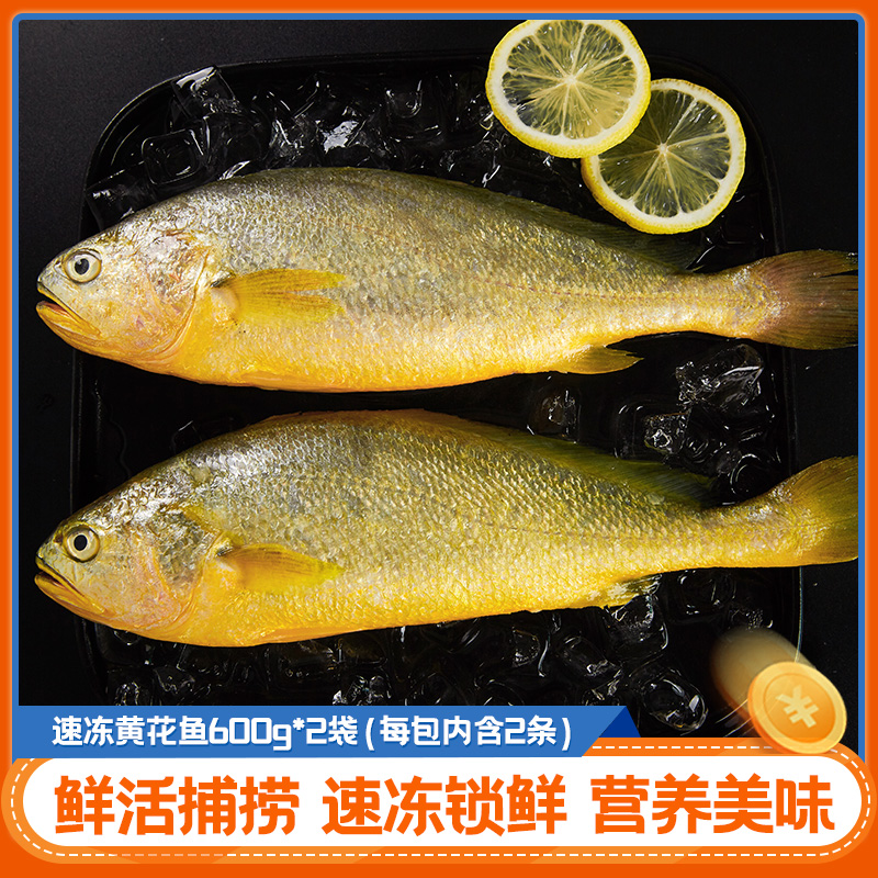 12618948.三都港速冻黄花鱼600g*2包(每包内含2条)宁德正宗黄花鱼速冻