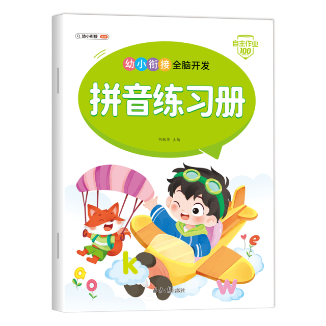 11975251.幼小衔接全脑开发拼音拼读小能手拼音核心知识大盘点