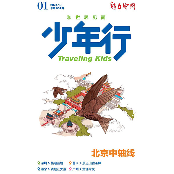 13532856.少年行杂志(单期)