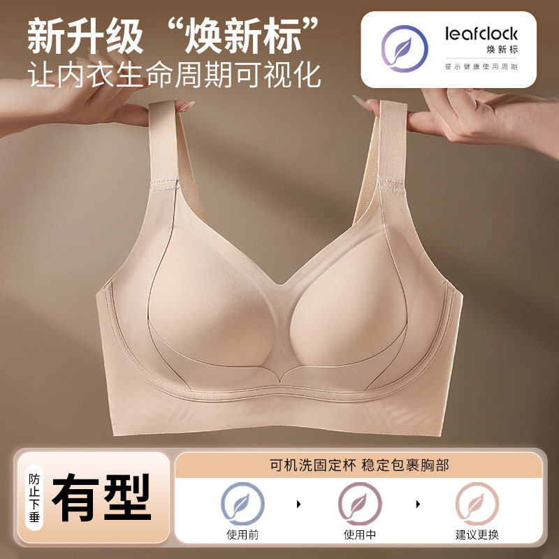 12151677.婷美【提拉上托】无痕提拉聚拢软支撑无钢圈防下垂收副乳文胸