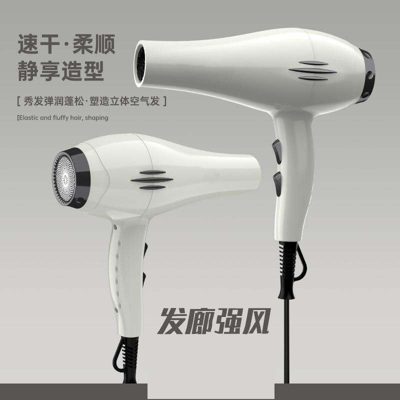 12664888.电吹风大功率蓝光负离子吹风筒家用发廊速干冷热风吹风机
