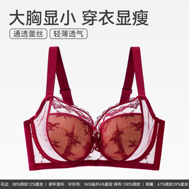 12786206.芬腾【大胸显小记忆钢圈】女士内衣上托防下垂文胸性感蕾丝收副乳胸罩