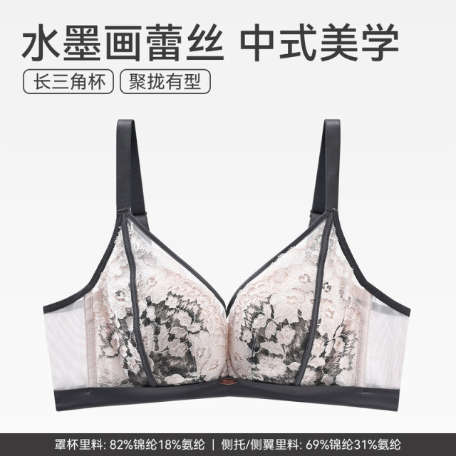 12795997.芬腾【专柜同款 大胸显小】女士内衣小胸聚拢性感蕾丝网纱深V文胸无钢圈透气胸罩