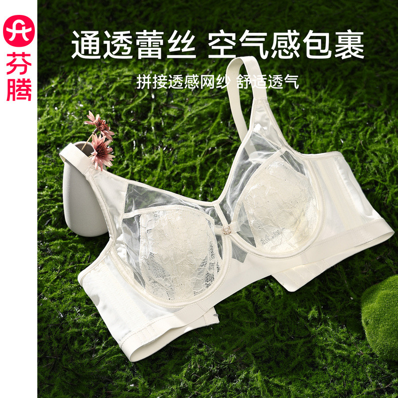 12794976.芬腾【大胸显小 性感蕾丝】内衣女透气舒适聚拢/记忆钛圈收副乳
