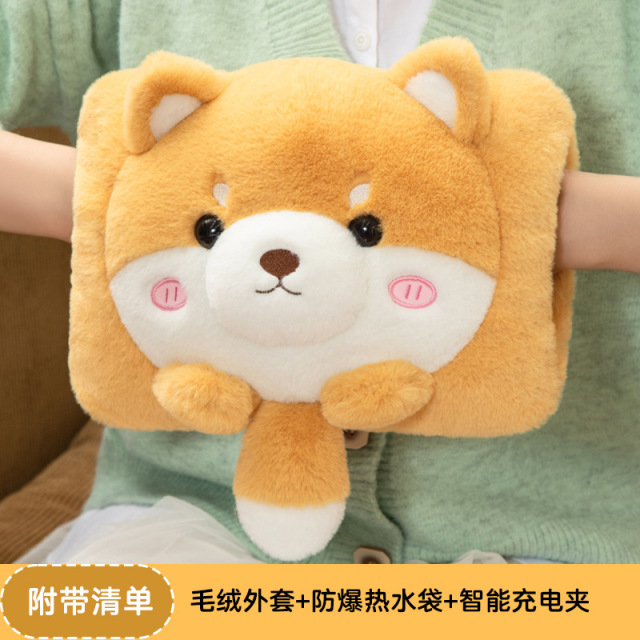 12714230.热水袋充电式卡通毛绒暖手宝方形注水可爱女生暖宝宝