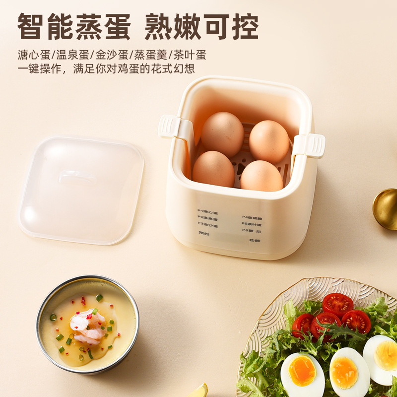 12715569.迷你小型可预约定时早餐煮鸡蛋煮蛋器自动断电全自动多功能蒸蛋器