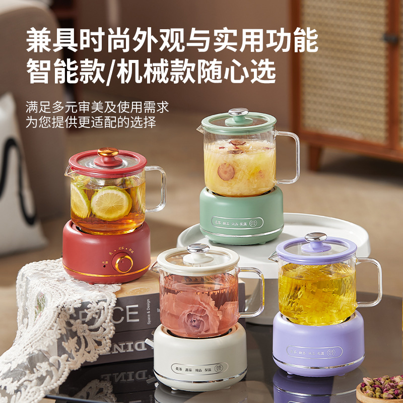 12760606.一人养生杯办公室多功能迷你养生壶全玻璃煮茶壶家用多功能