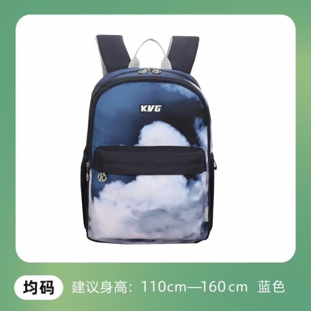 12400014.减负护脊书包V020