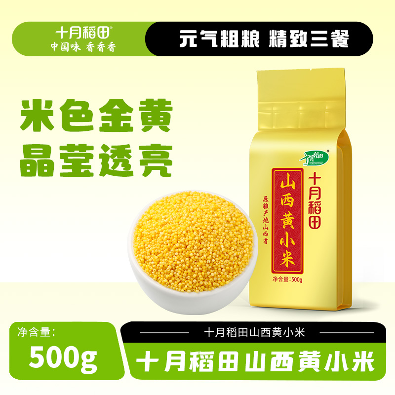 12627588.十月稻田山西黄小米 米油醇厚