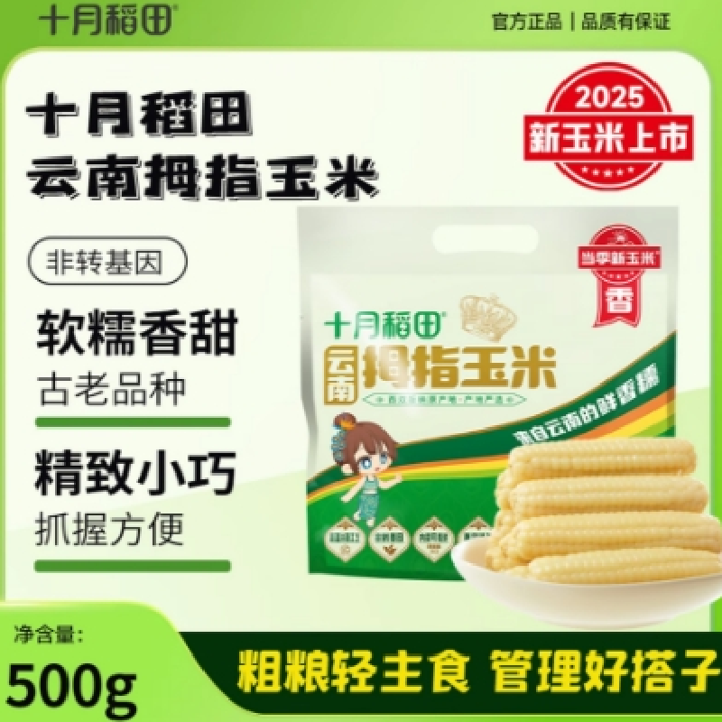 12627603.十月稻田拇指玉米500g/花糯玉米1kg 来自云南的鲜香糯 西双版纳当季新玉米