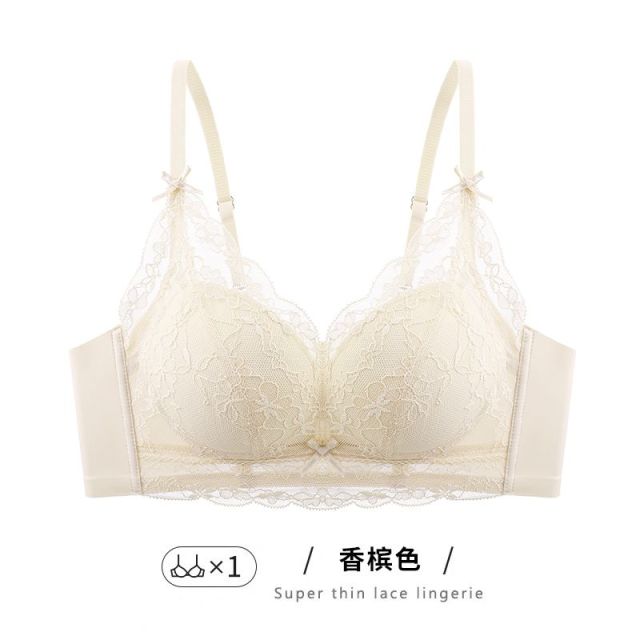 13716029.婷美小胸聚拢蚕丝莫代尔上托防下垂蕾丝文胸