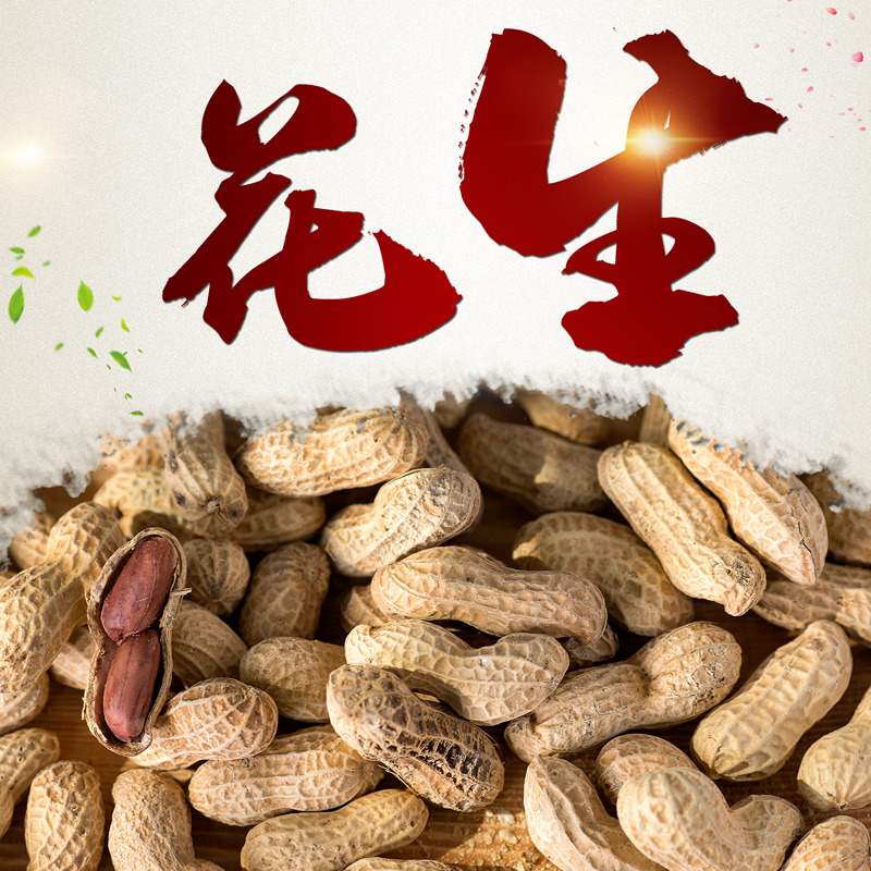 12718630.怡江黄金耳  龙岩特产花生150克/袋
