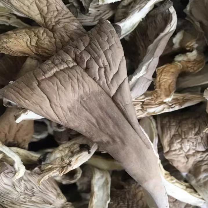 13014948.怡江黄金耳 秀珍菇30克/袋