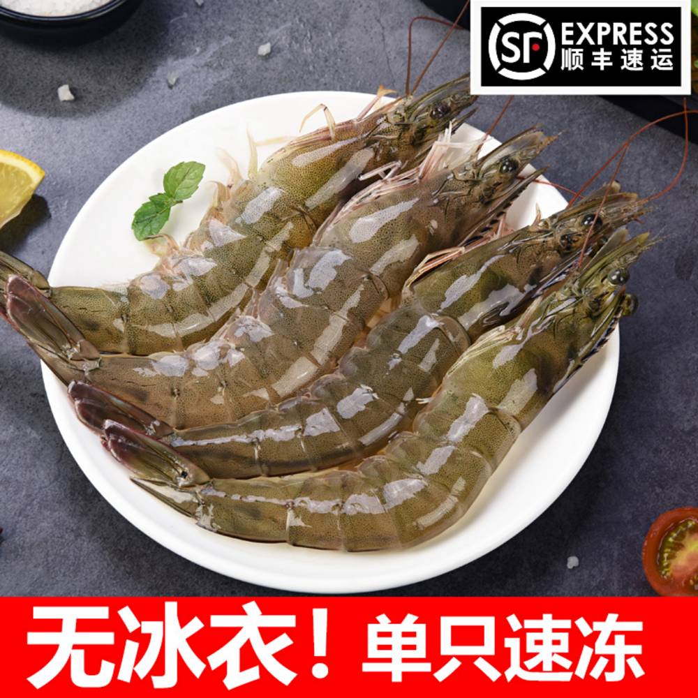 12682925.【寻海觅鲜】（限时直降）新鲜开海捕捞大虾 净重约3.3斤左右     顺丰包邮