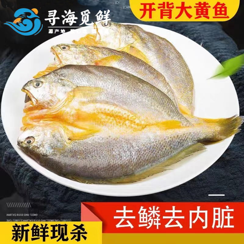 12696728.【寻海觅鲜】新鲜开背 三去大黄花鱼 黄花鲞    顺丰包邮