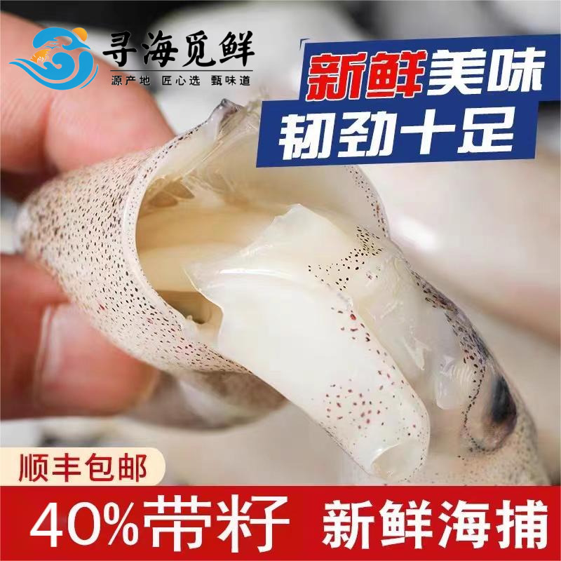 12696139.【寻海觅鲜】海兔子/籽乌/笔管鱼 野生海捕 带籽率40%以上   400g/袋  顺丰发货