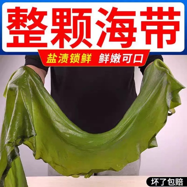 12698433.【寻海觅鲜】新鲜盐渍整颗海带 全家做饭只需一棵菜