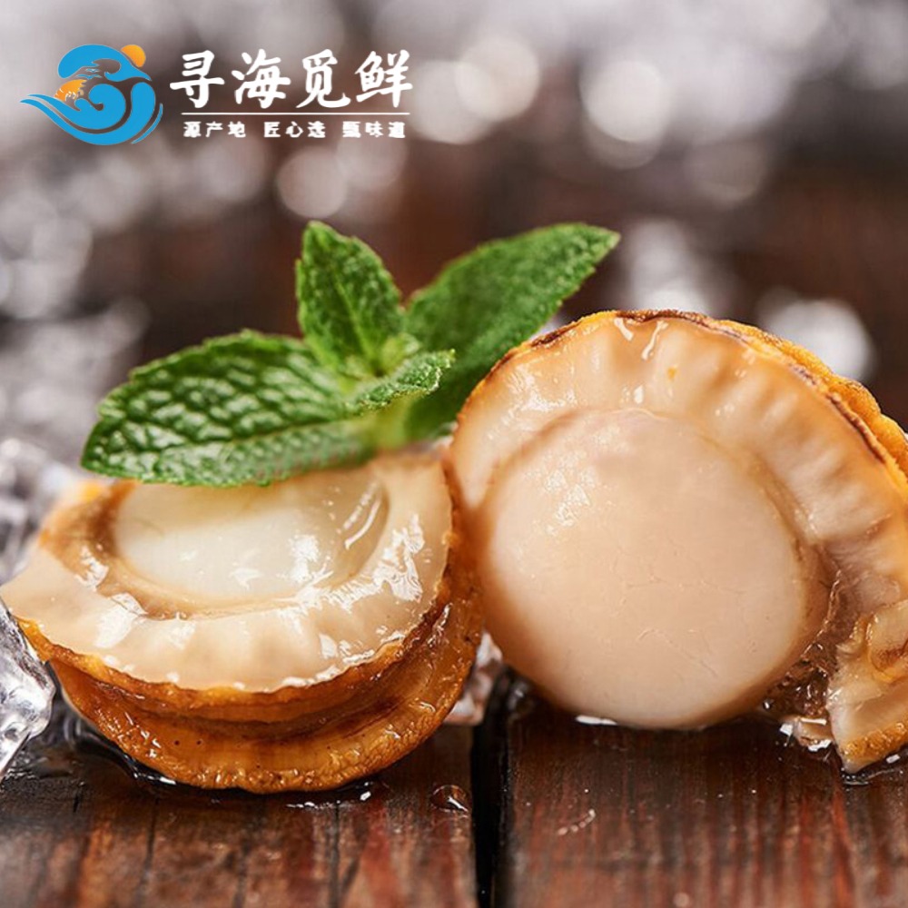 12698975.【寻海觅鲜】带黄新鲜扇贝肉 色泽莹润 肉质紧实弹牙  冷冻发货  每一粒都蕴藏大海的纯粹鲜甜   顺丰包邮
