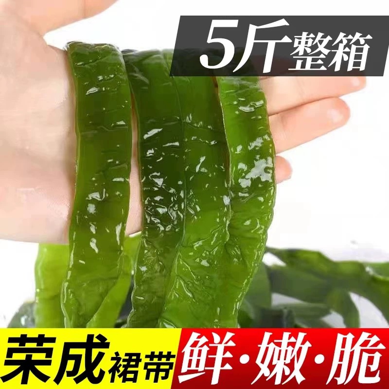 12698435.【寻海觅鲜】新鲜盐渍裙带梗  海鲜凉拌菜 五斤包邮