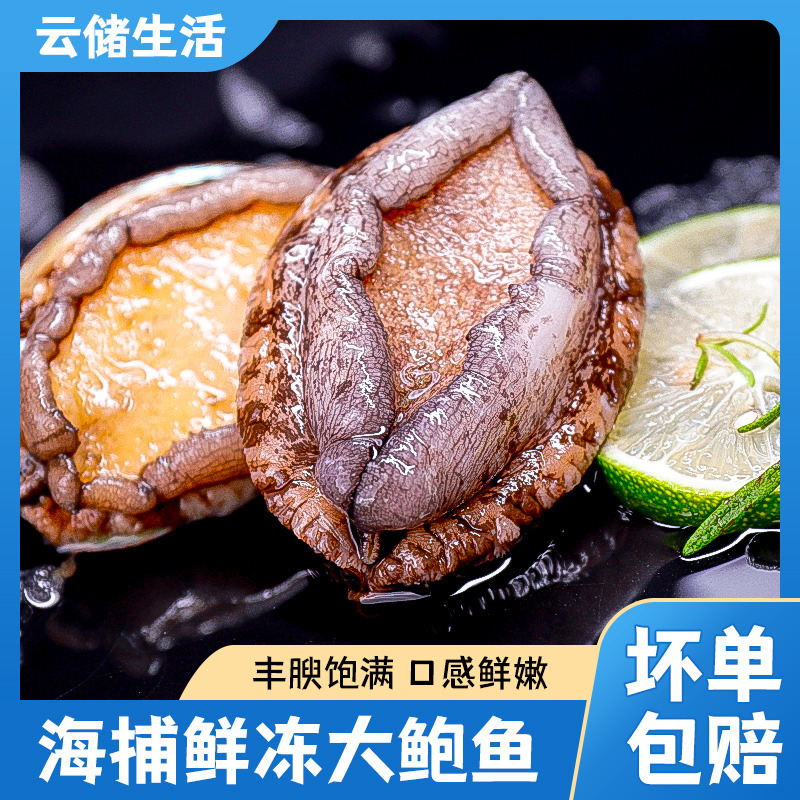 12888687.【精选鲜冻鲍鱼】新鲜速冻丰腴饱满（8头/袋*3）已漂烫