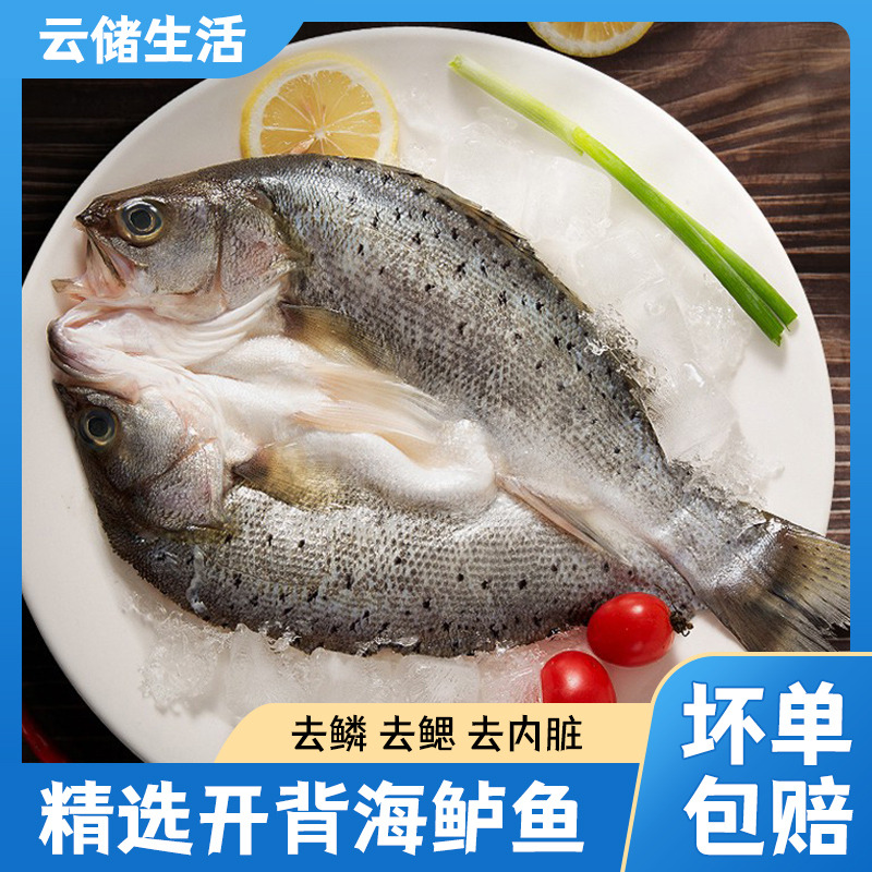 12888376.【免处理】开背海鲈鱼300-400g/条*6（去鳞去鳃去内脏）解冻即烹