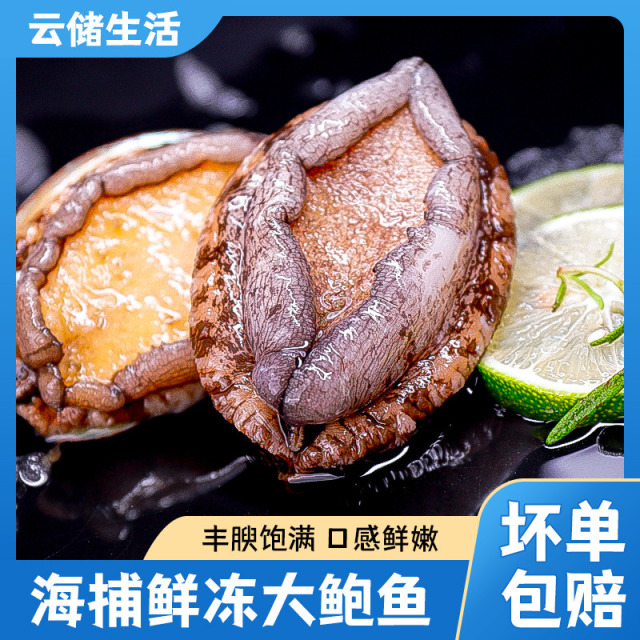 12888687.【精选鲜冻鲍鱼】新鲜速冻丰腴饱满（8头/袋*3）已漂烫