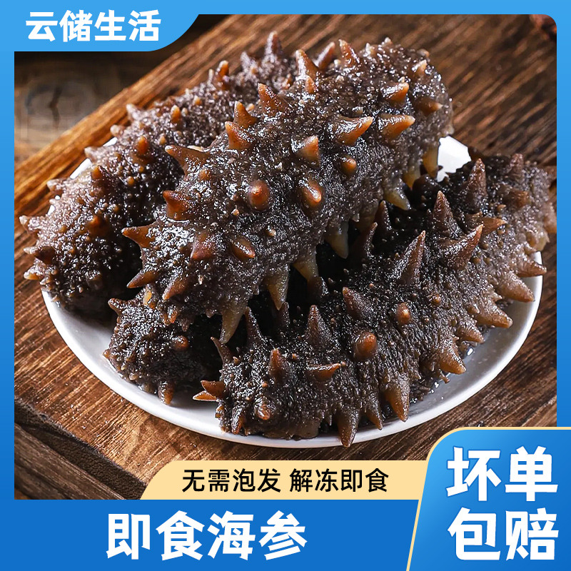 13023523.【大连辽刺参】高品质即食海参500g/包大连海参固形物含量>75%化冻即食