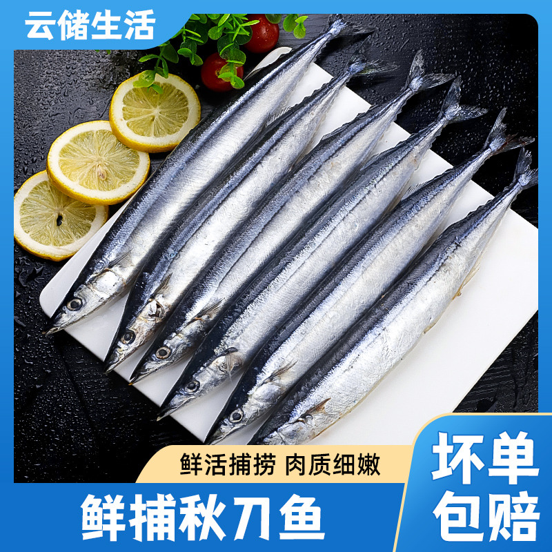 13023566.【深海秋刀鱼】新鲜海捕特大号鲜活冷冻料理烧烤500g/袋*3