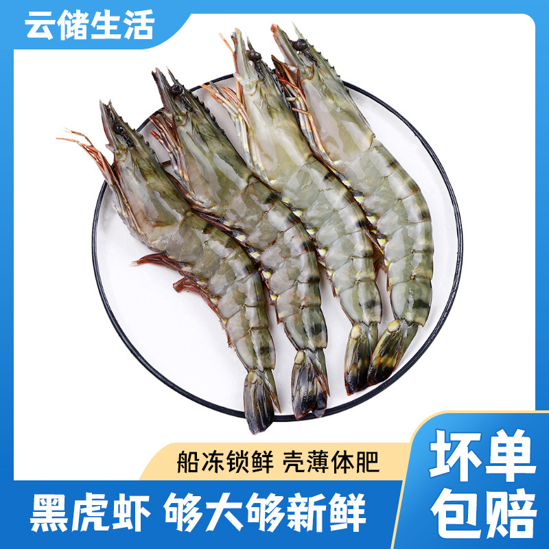 13023441.【超大黑虎虾】16-20规格印度洋黑虎虾2斤/盒*1虾中老虎大个