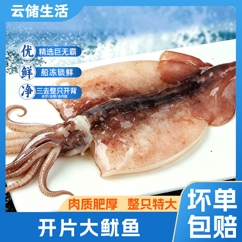 13623455.【三去开背大鱿鱼】去眼去牙去内脏整只开背鱿鱼5斤/包（4-6条）